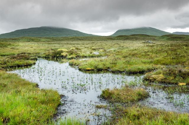 "In recent years, there's been a good partnership between farmers and conservation projects."