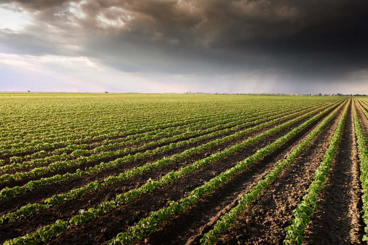 The government agency is accepting public comment on the proposal before making a final decision.