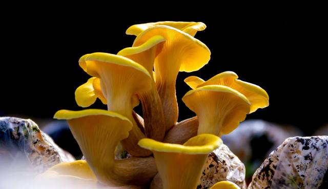 Researchers expressed hope that the research encourages more thoughtful approaches.