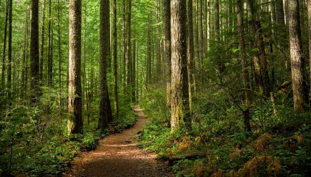 Researchers expressed hope that the research encourages more thoughtful approaches.