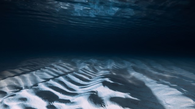 "There's often an edge to the human eye on the seafloor."