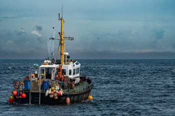 "This is good news for marine conservation."
