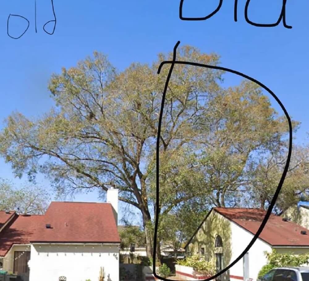 "People should talk to their neighbors more."