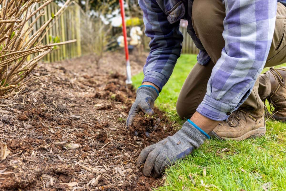 When starting a garden, one will often find themselves asking: What ground cover should I use?