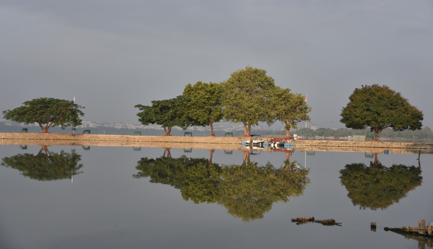 The crime was discovered when officials started a restoration project.