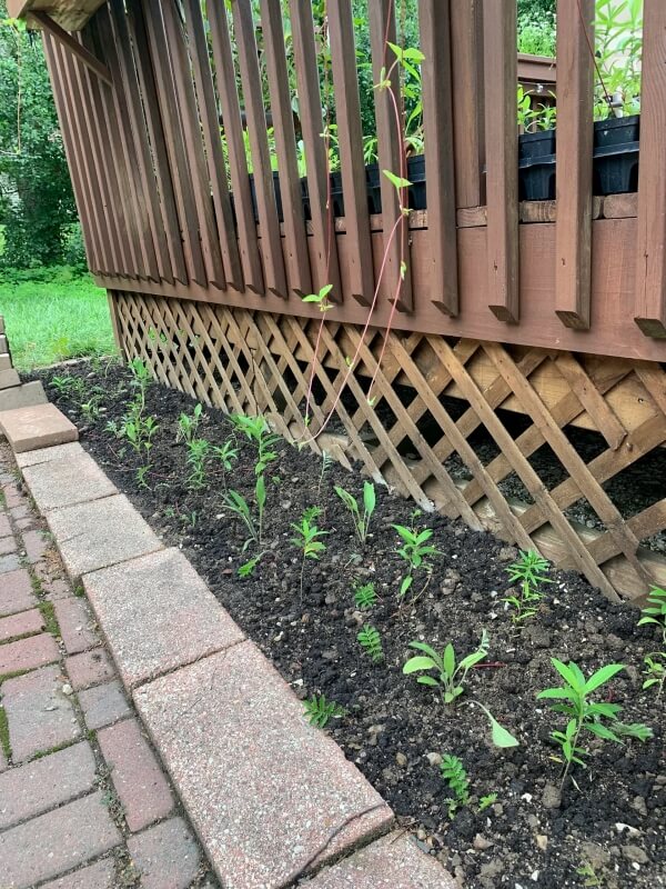 "Great job!"