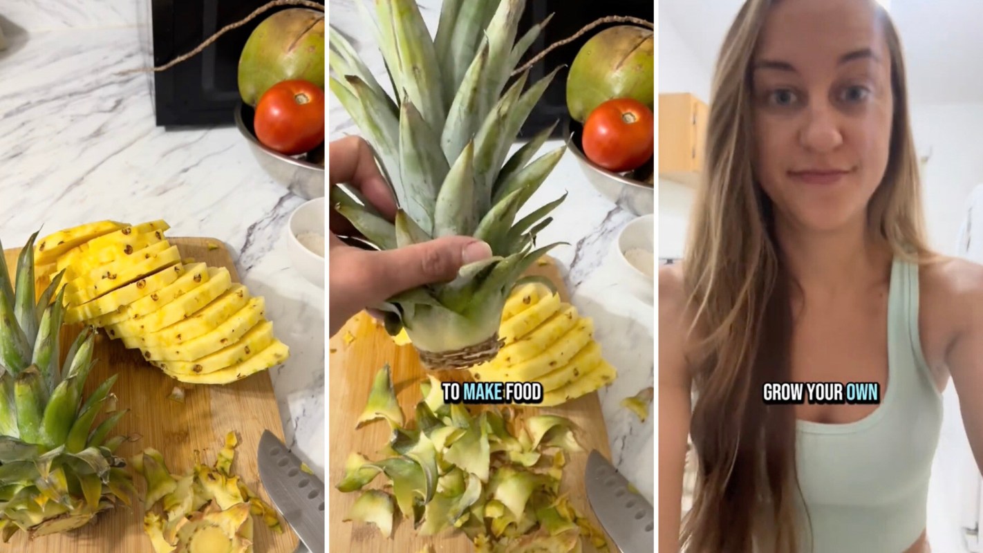 "I've regrown so many pineapples this way."
