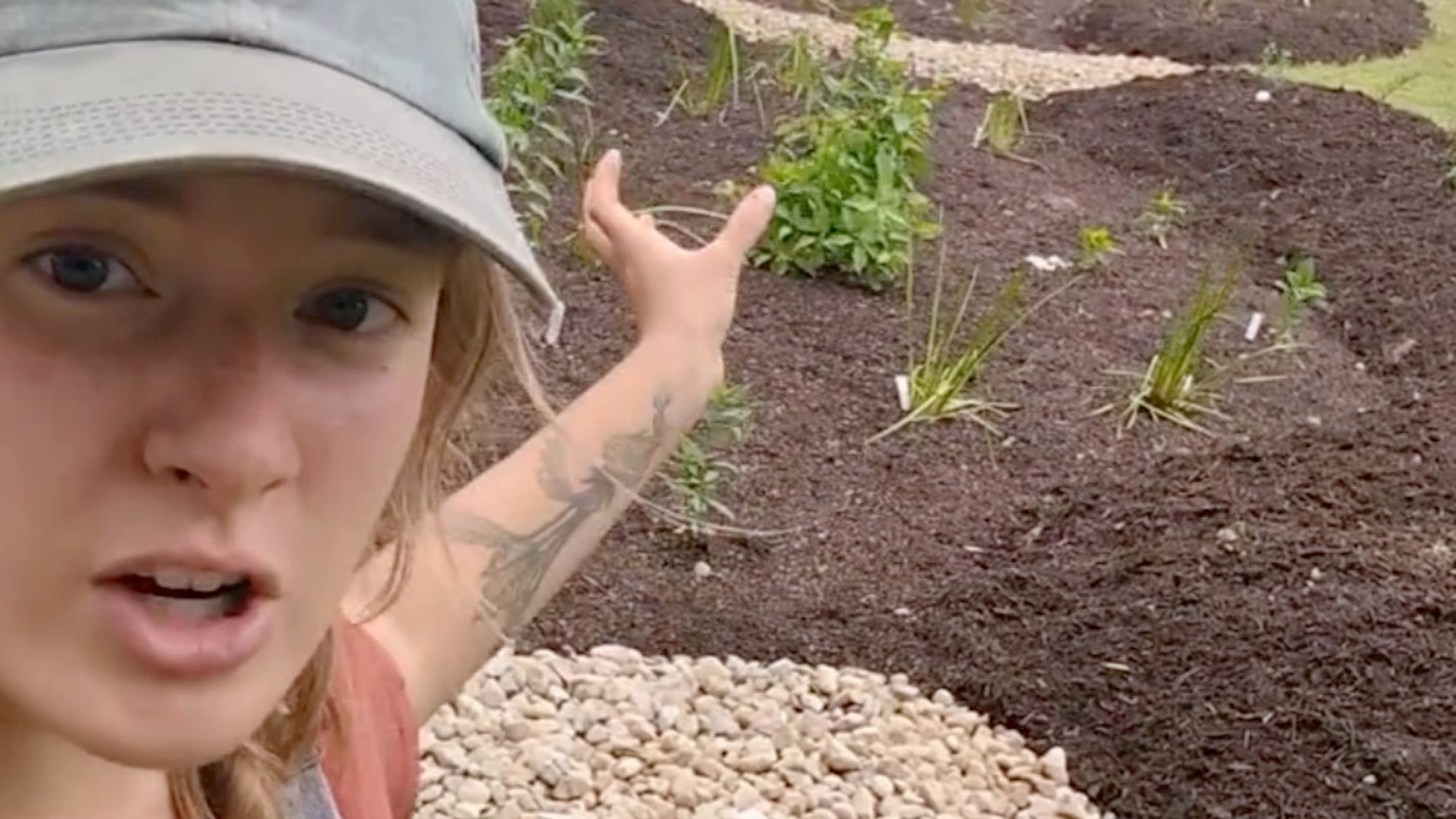 "We were called in because this client wanted to grow some food."