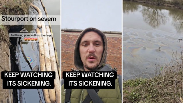 To protect the environment, if you see something, say something.