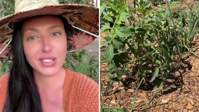 "I've learned so much from you!"