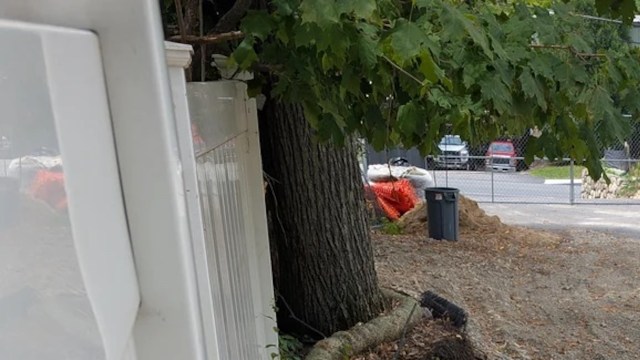 The homeowner was considering contacting a lawyer.
